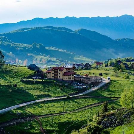 Pensiunea Crai Nou Şirnea Buitenkant foto