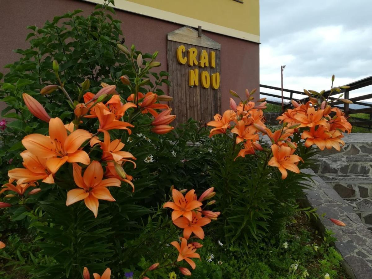 Pensiunea Crai Nou Şirnea Buitenkant foto