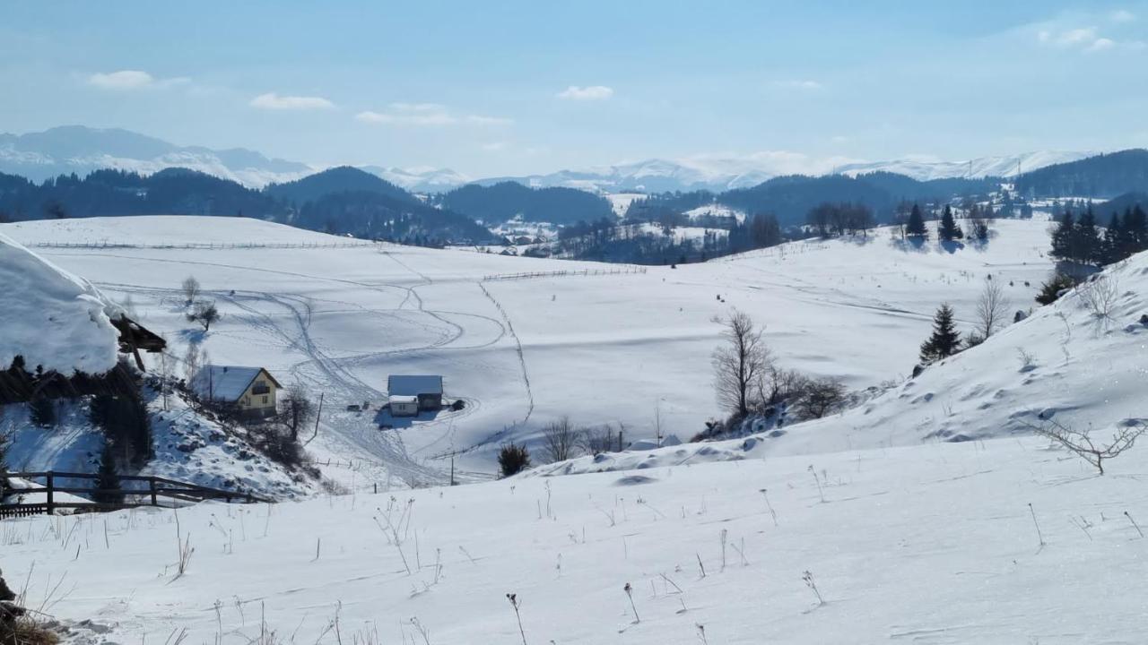 Pensiunea Crai Nou Şirnea Buitenkant foto