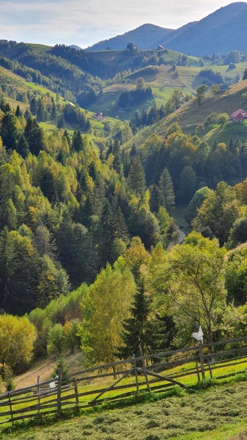 Pensiunea Crai Nou Şirnea Buitenkant foto