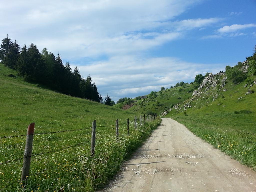 Pensiunea Crai Nou Şirnea Buitenkant foto